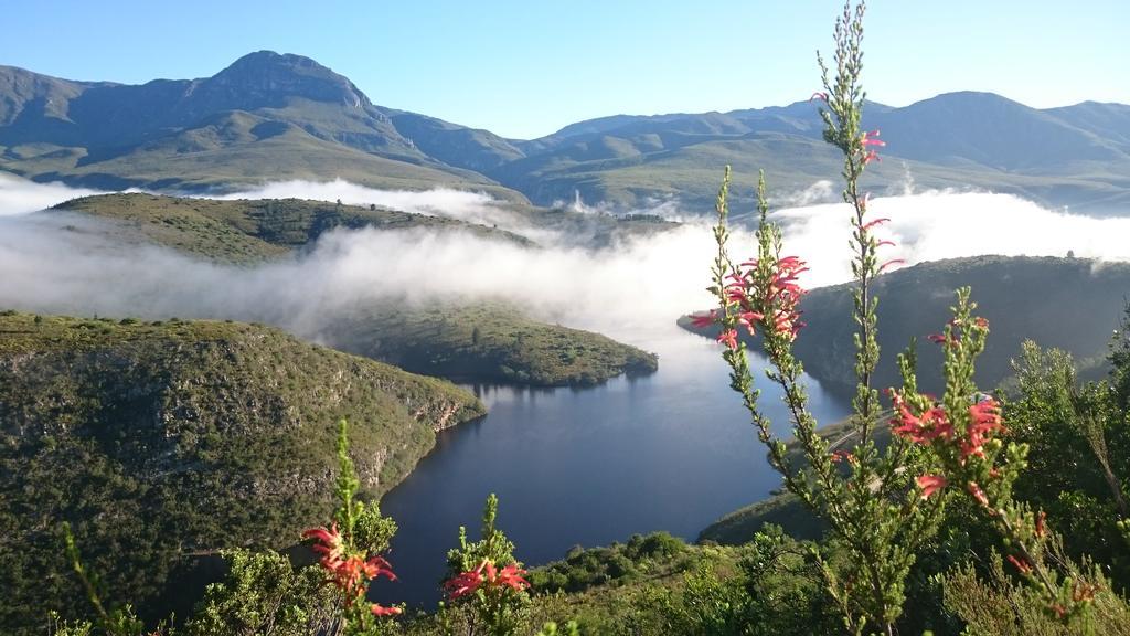 Вілла Akasha Mountain Retreat, New Location Гейдельберг Екстер'єр фото